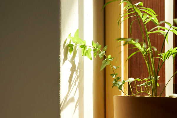 midday pause \ three minutes to reset your mind