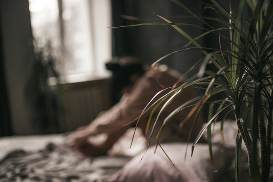 a slower way to live \ without changing your life