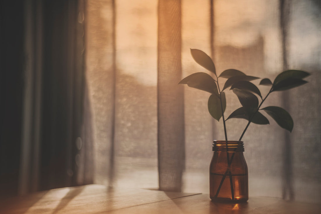 make your home your pause \ an invitation