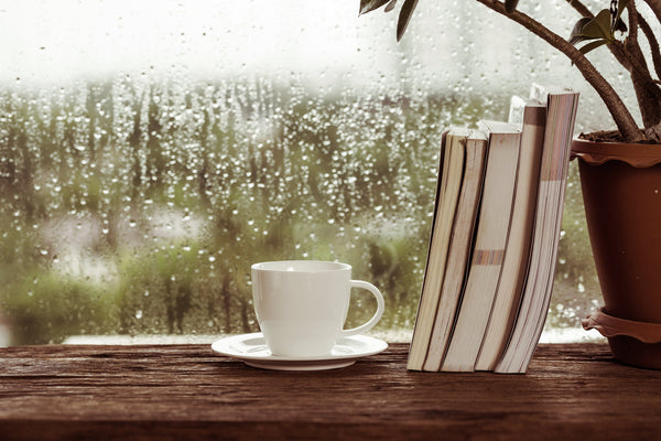 daily pauses \ small moments that reset the day