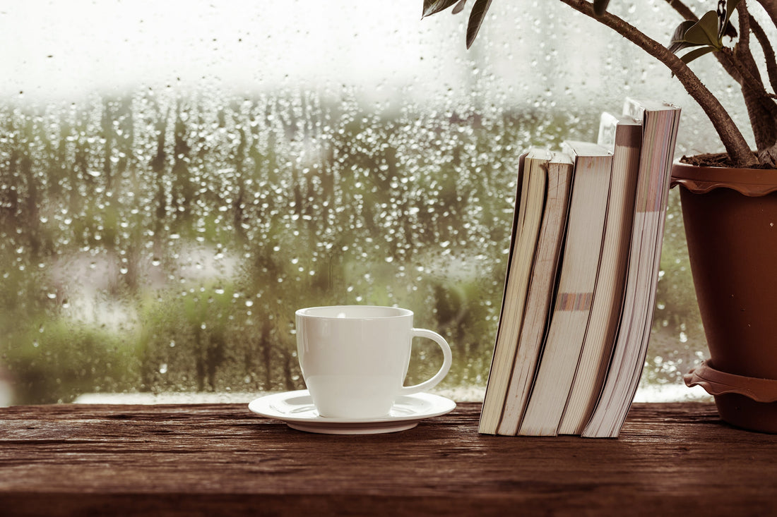daily pauses \ small moments that reset the day