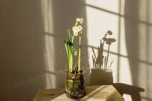 a slow spring clean \ for space and mind