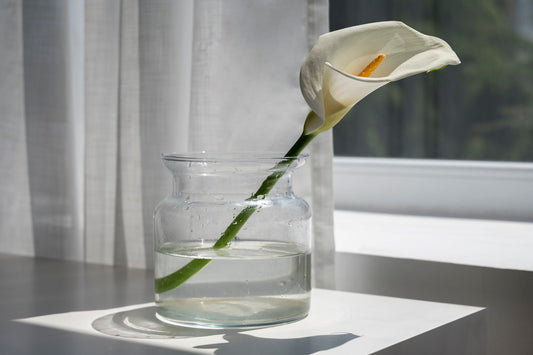 slow morning together \ after guests arrive