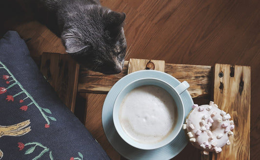 first pour \ first purr \ a morning ritual