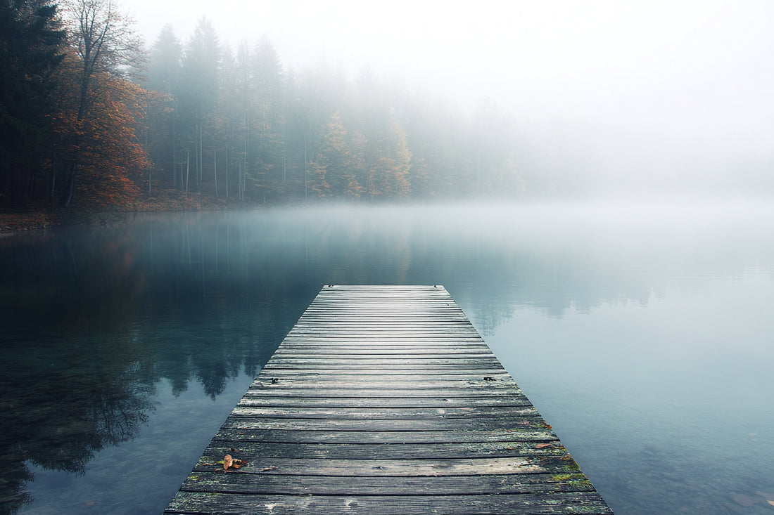 silence \ where the mind can rest