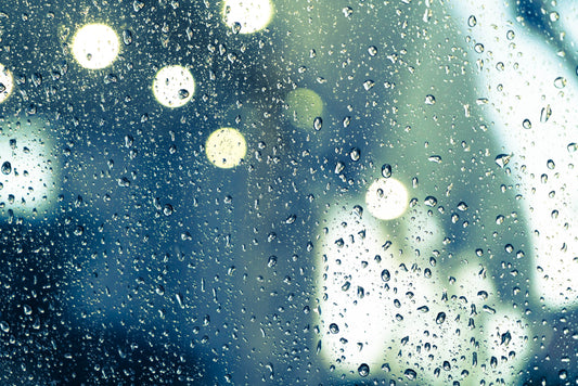after rain \ the world washed clean