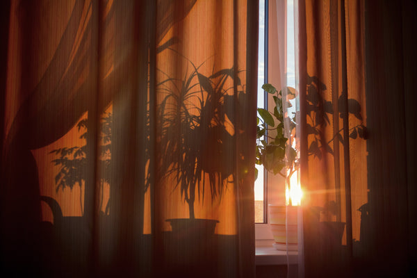 evening pause \ three minutes to close your day with calm