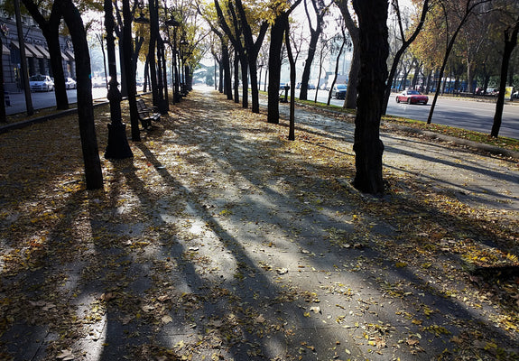 siesta \ rest in the heat of the day