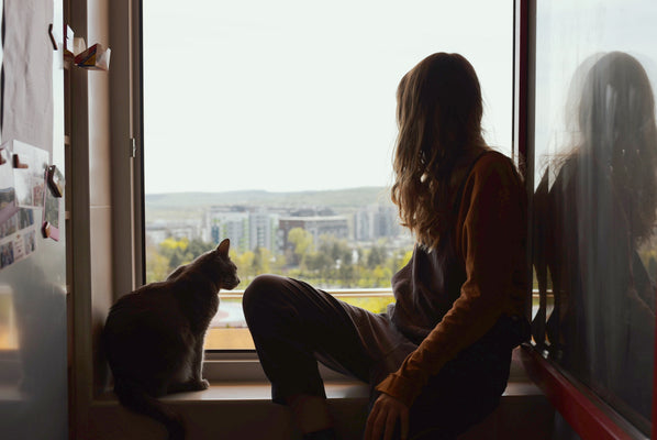 staying inside \ the comfort of quiet days