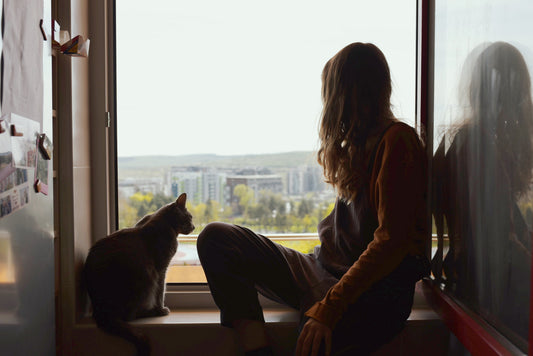 staying inside \ the comfort of quiet days