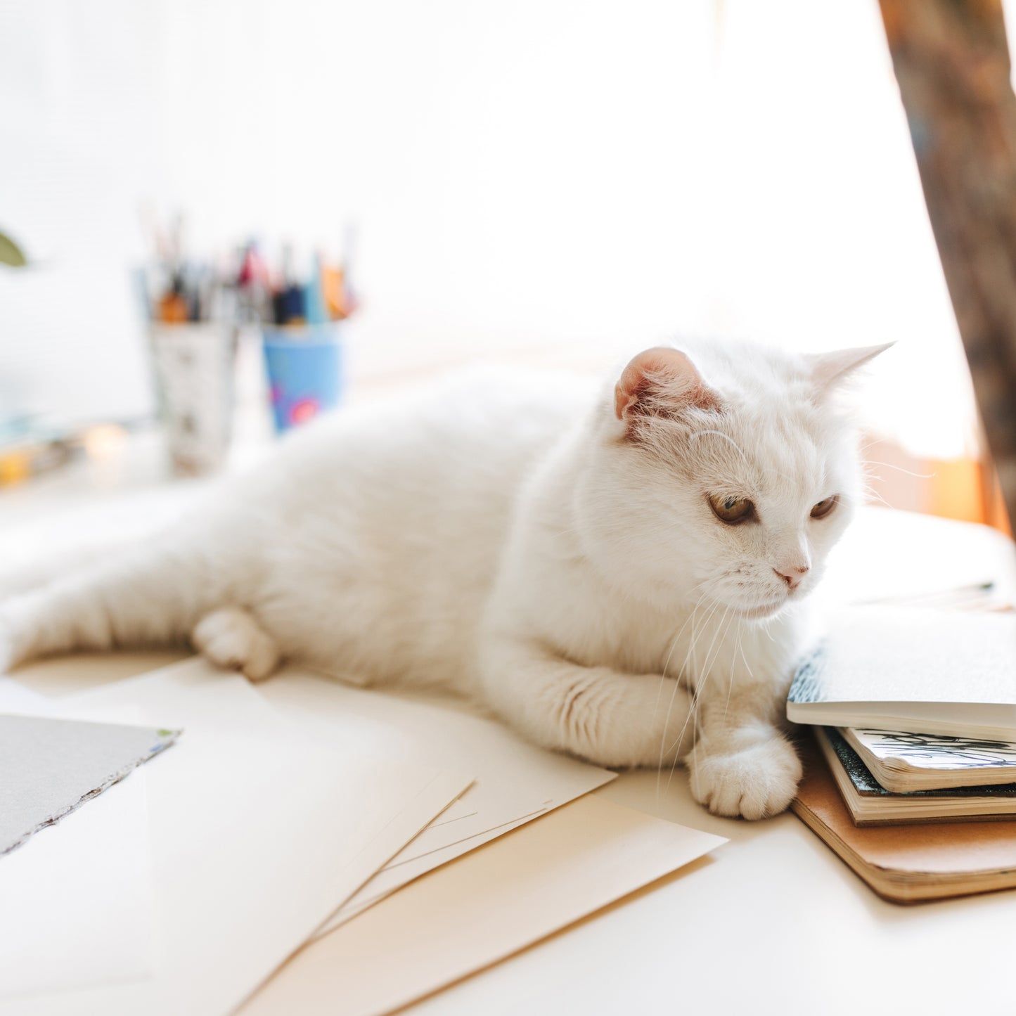 staying inside \ colouring book + pencils