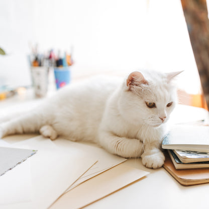 staying inside \ colouring book + pencils