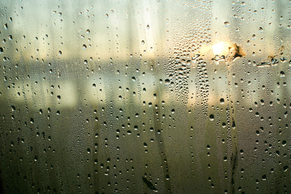 after rain \ rosemary, geranium & ginger . massage & bath oil - ReNew