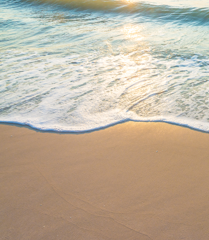 wading in \ mineral & driftwood . scented candle - ReNew